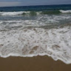 Meet your Posher, Belinda